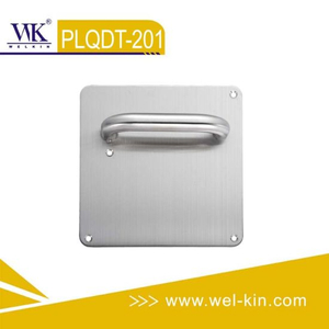 Stainless Steel 304 Tube Door Handle with Plate (PLQDT-201)